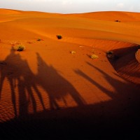 Rajasthan_Davidpinzer_Fotografie--17
