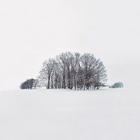 Winter_Davidpinzer_Fotografie--2-3