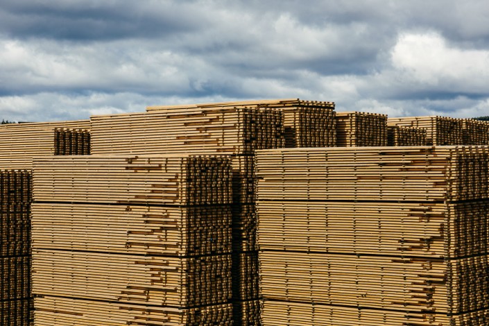 Stapled Forest