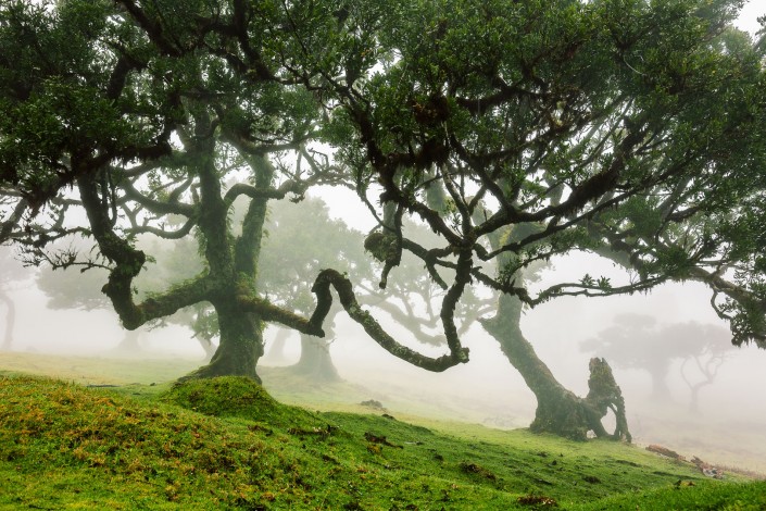 Madeira